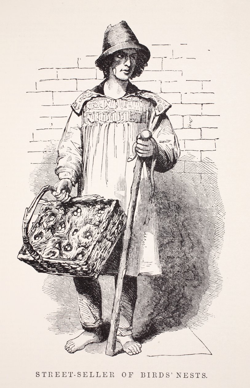 Straßenverkäufer von Vogelnestern, Illustration aus London Labour and London Poor von Henry Mayhew, veröffentlicht 1862 von English School