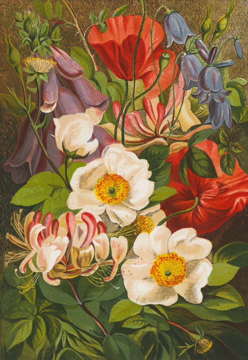 Sommerblumen von English School