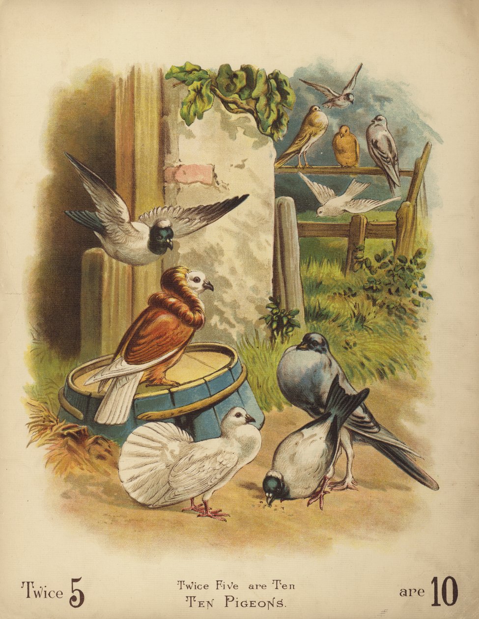 Zehn Tauben (Chromolithografie) von English School
