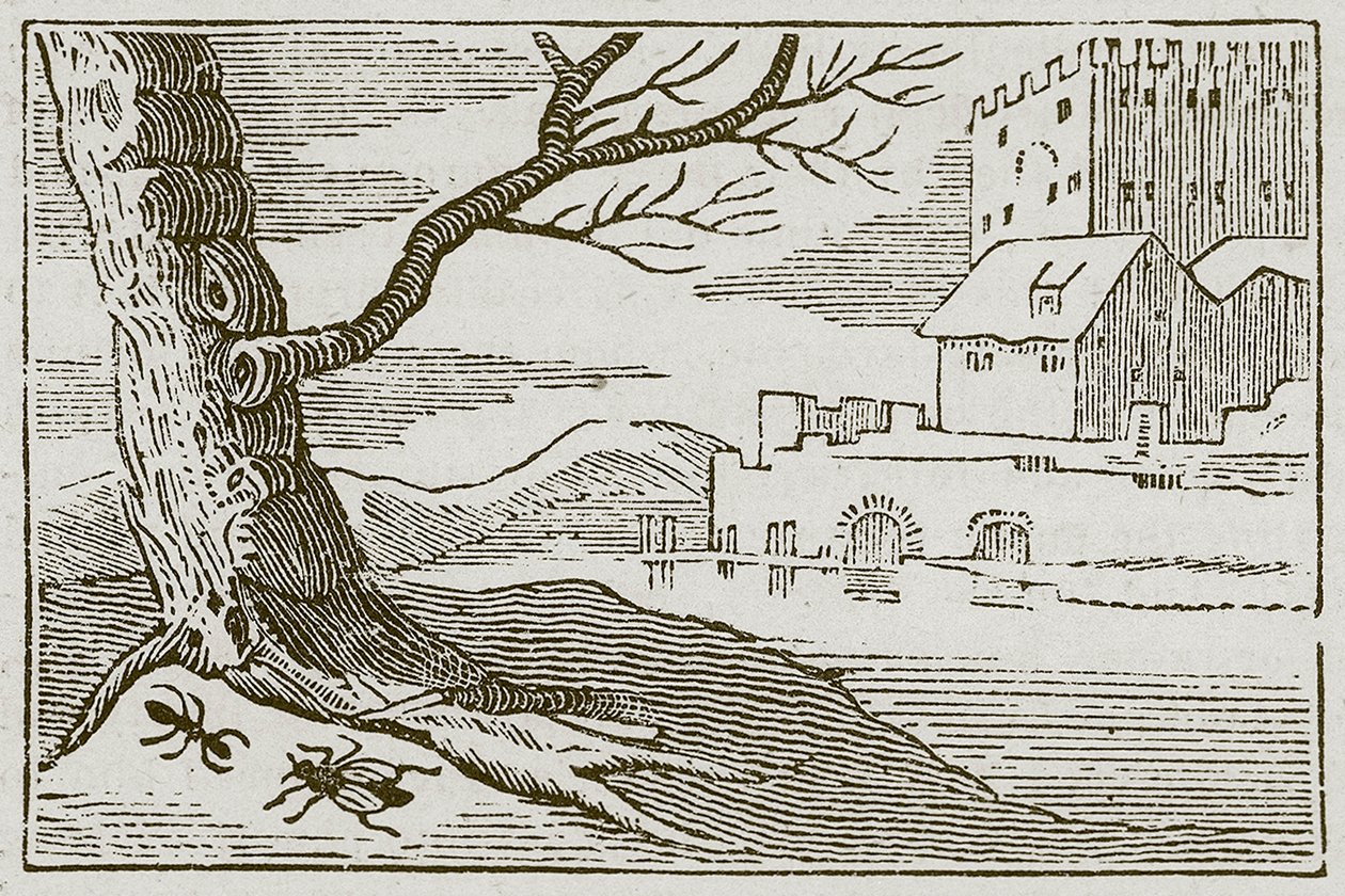 Die Ameise und die Fliege (Gravur) von English School