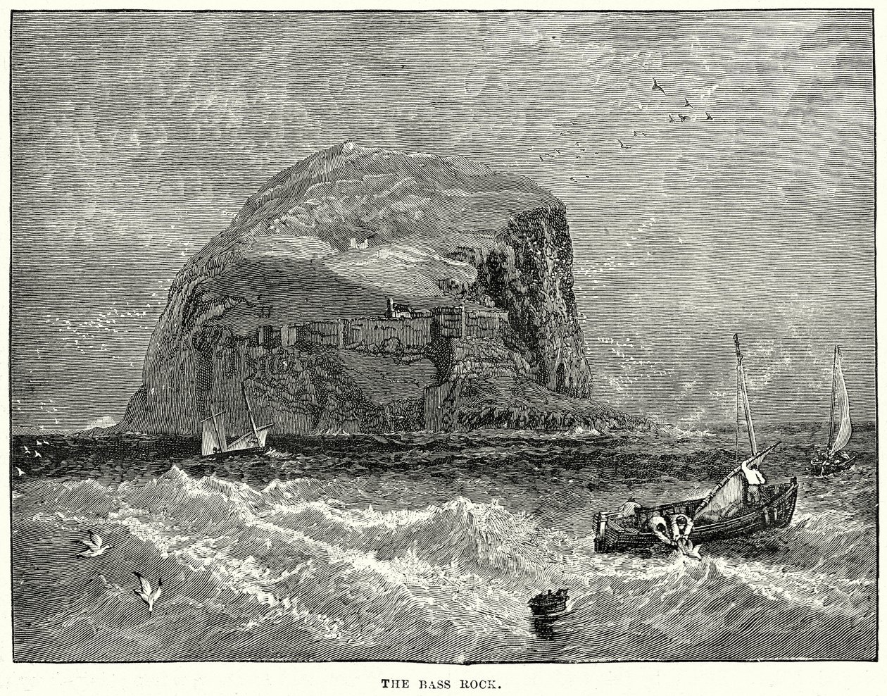 Der Bass Rock von English School