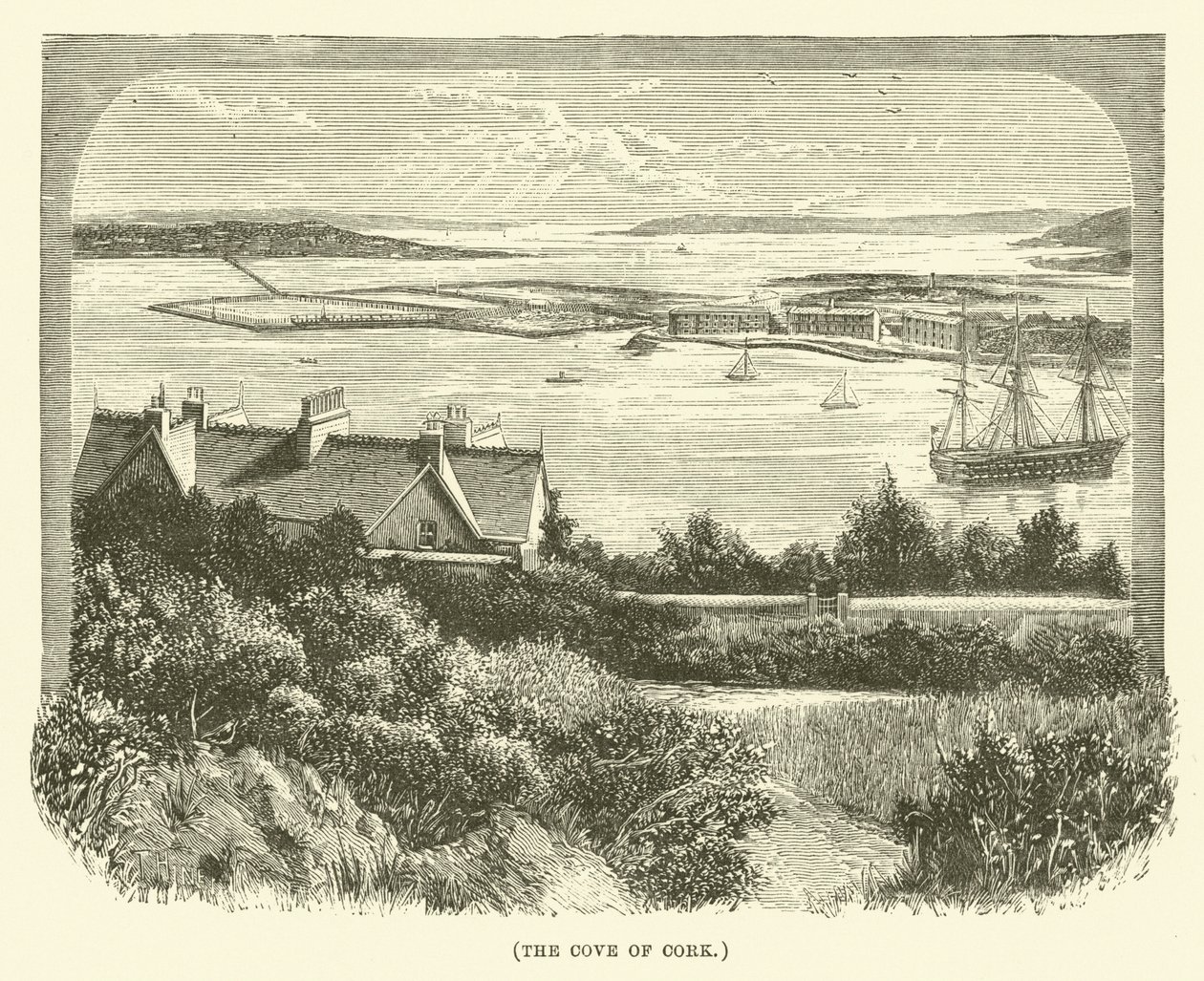 Die Bucht von Cork (Gravur) von English School
