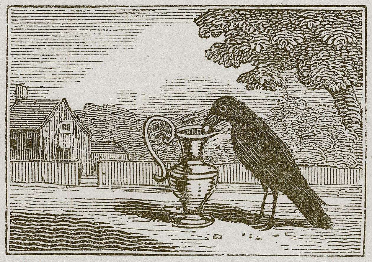 Die Krähe und der Krug (Gravur) von English School