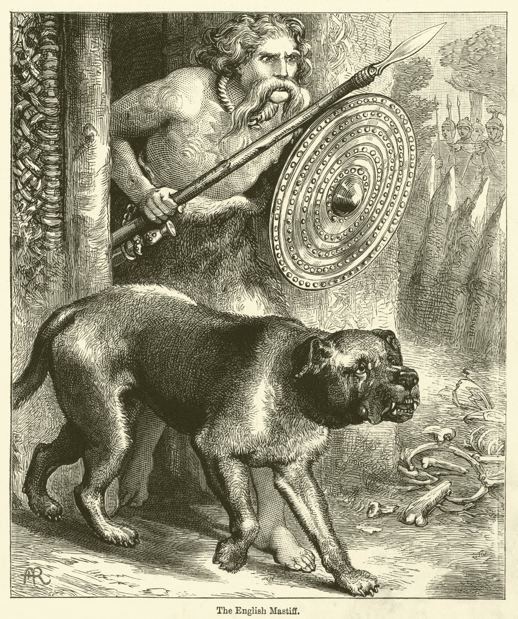 Der Englische Mastiff von English School