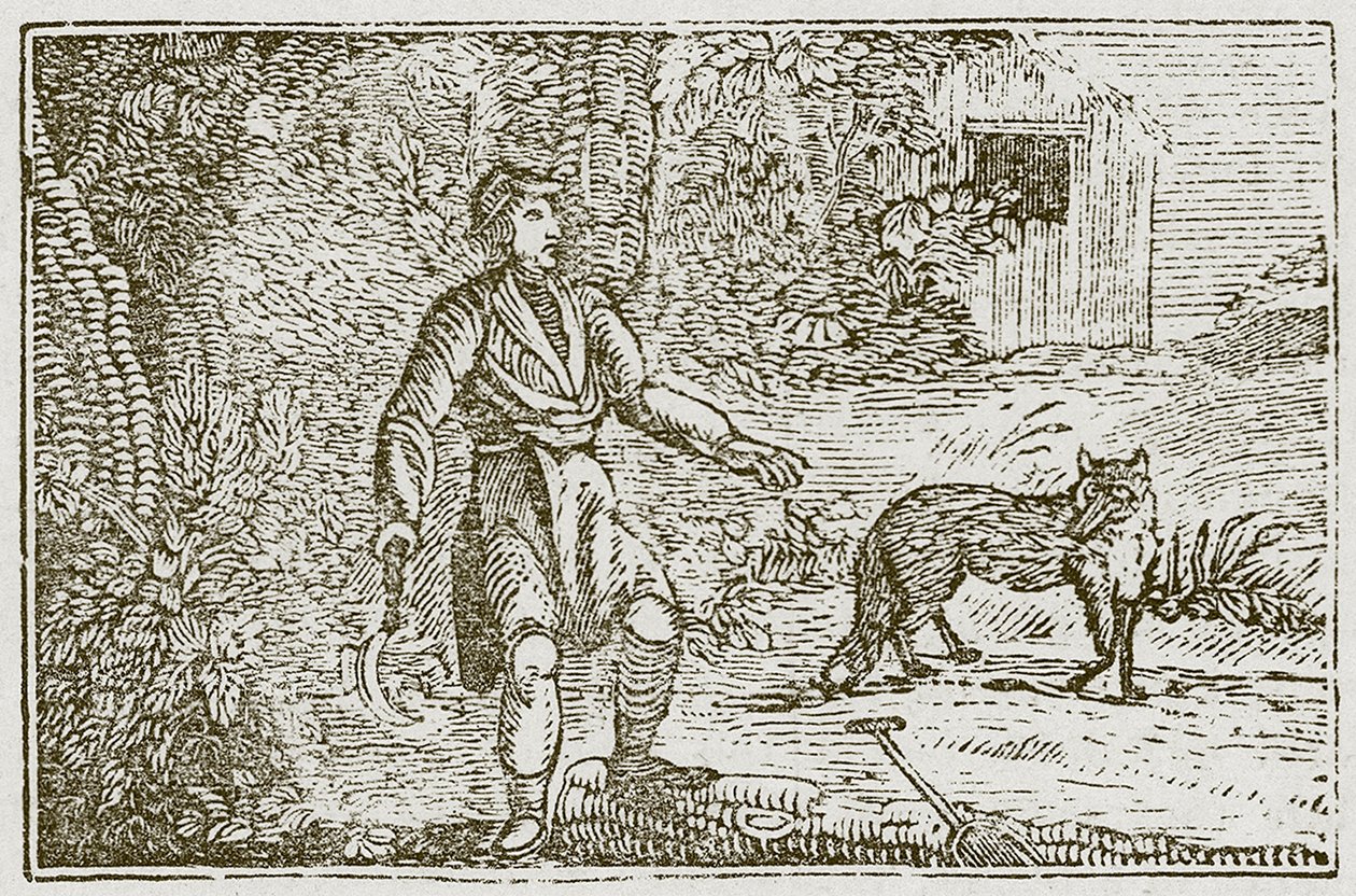Der Fuchs und der Landmann von English School