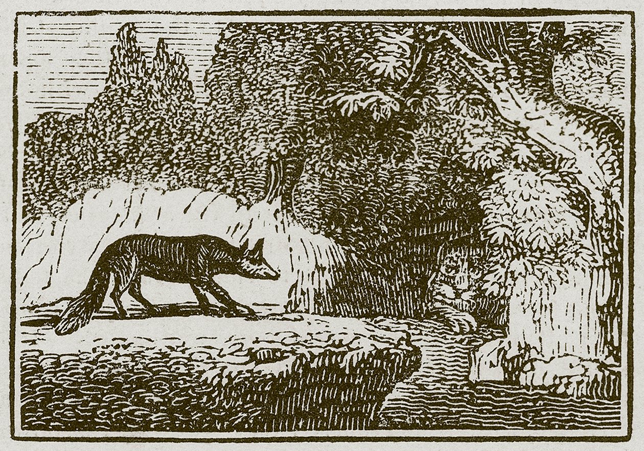 Der Fuchs und der kranke Löwe von English School