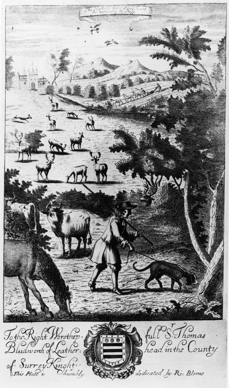 Der Hafenmeister mit dem Bluthund für die Hirschjagd, aus 