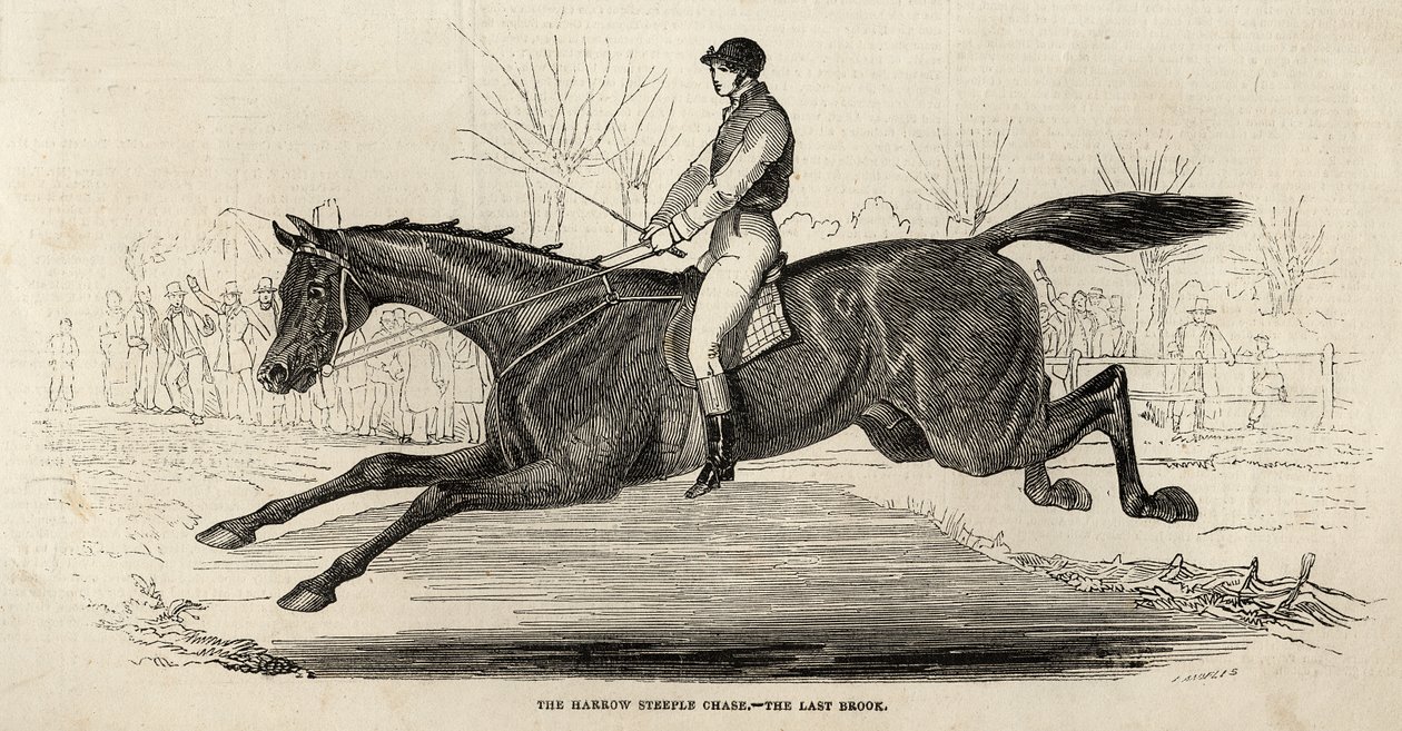 Das Harrow Steeple Chase: Der letzte Bach, aus 