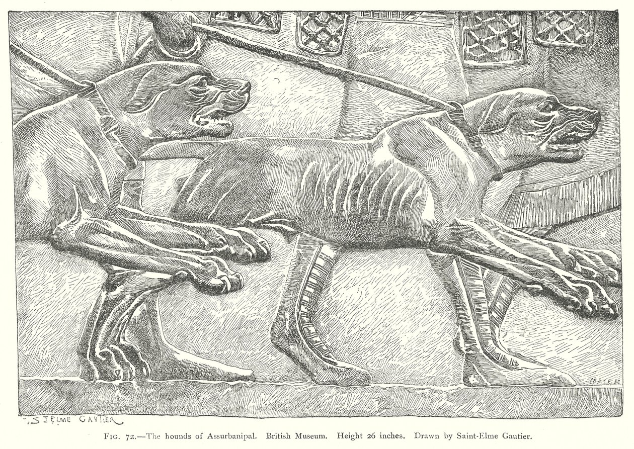 Die Hunde von Assurbanipal. Britisches Museum von English School