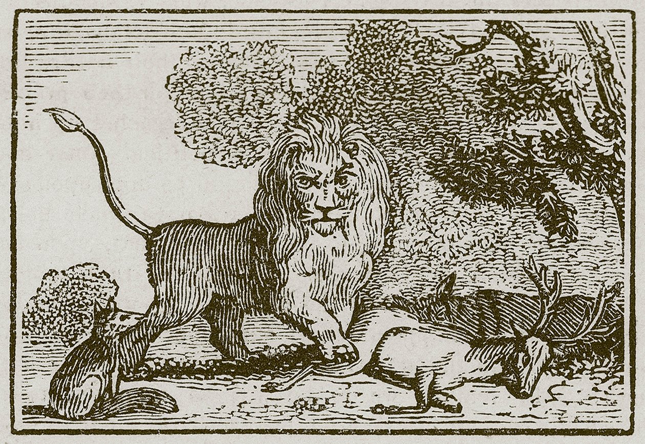 Der Löwe, der Esel und der Fuchs von English School