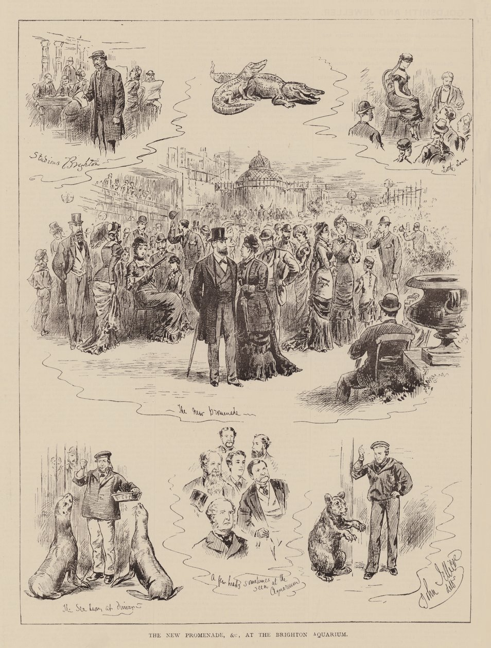 Die neue Promenade usw. im Brighton Aquarium von English School