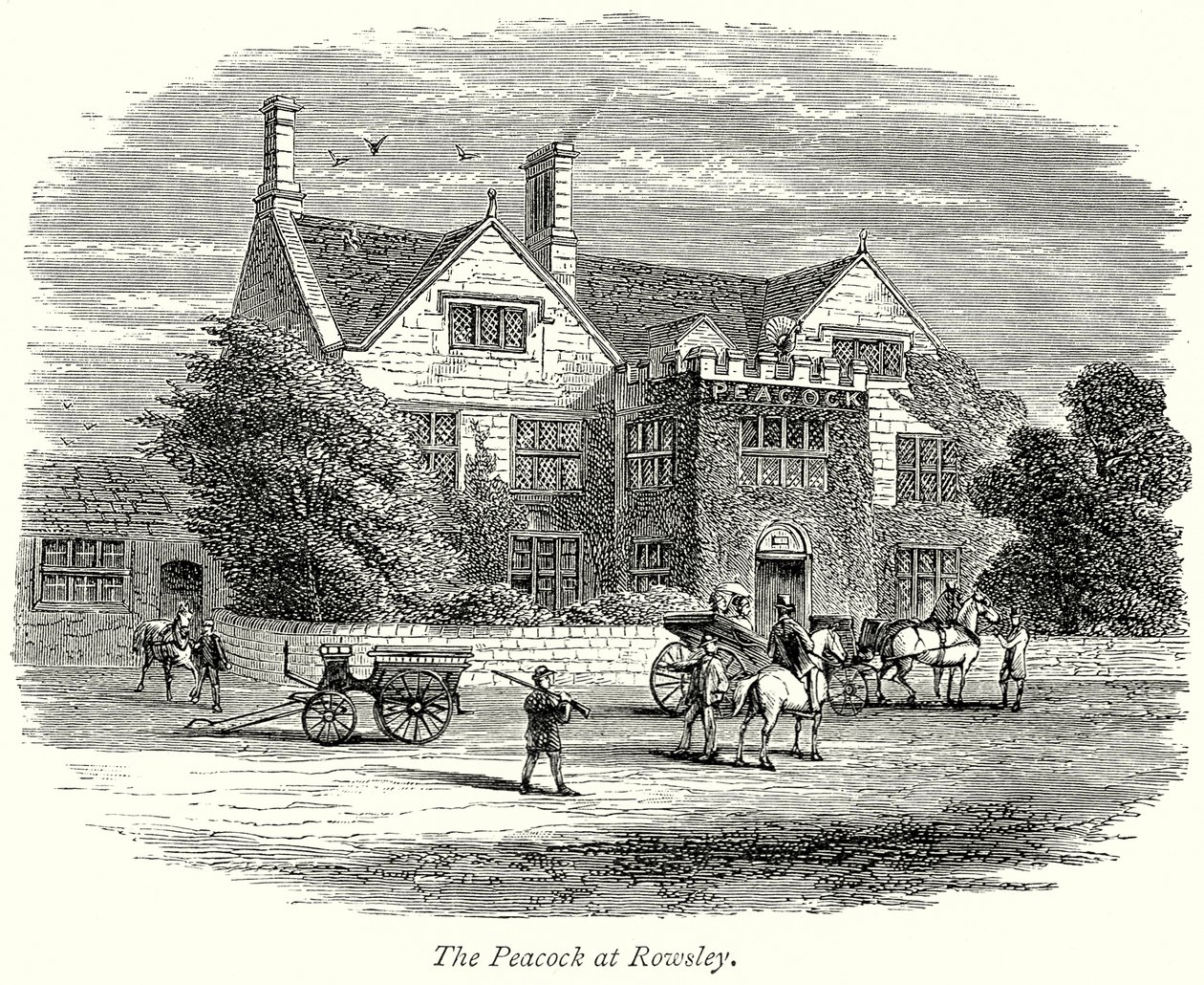 Der Pfau in Rowsley von English School