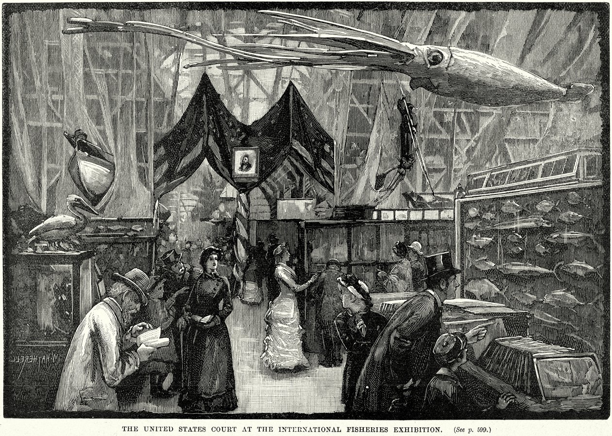 Der Gerichtshof der Vereinigten Staaten bei der Internationalen Fischereiausstellung (Gravur) von English School