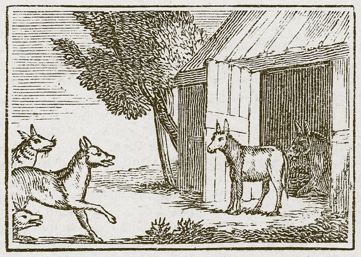 Die Wölfe und der kranke Esel von English School
