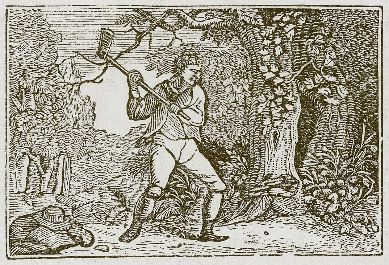 Der Wald und der Clown (Gravur) von English School