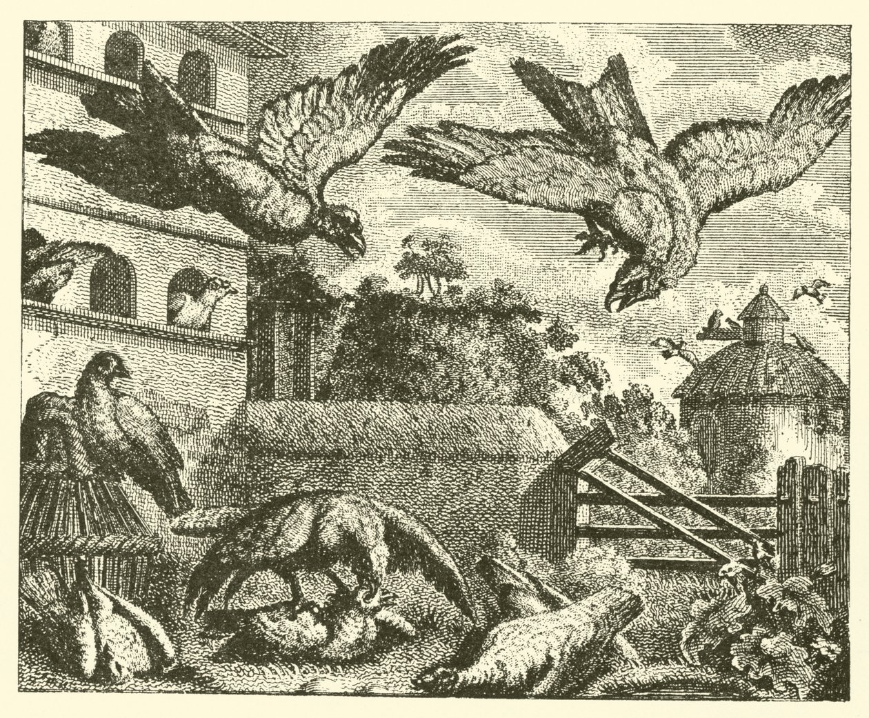 Der Drachen und die Tauben von English School