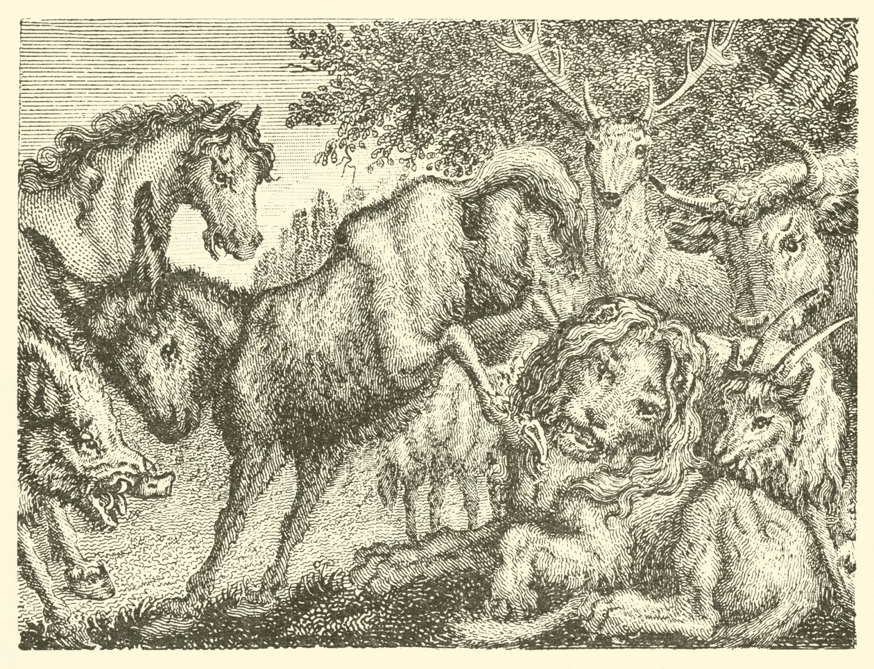 Der alte Löwe (Gravur) von English School