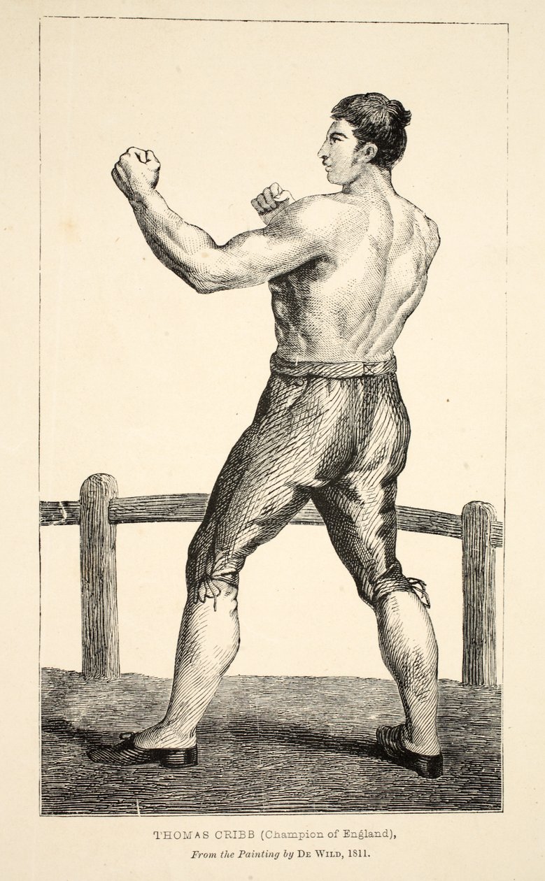 Thomas Cribb, Champion von England, nach dem Gemälde von De Wild von English School