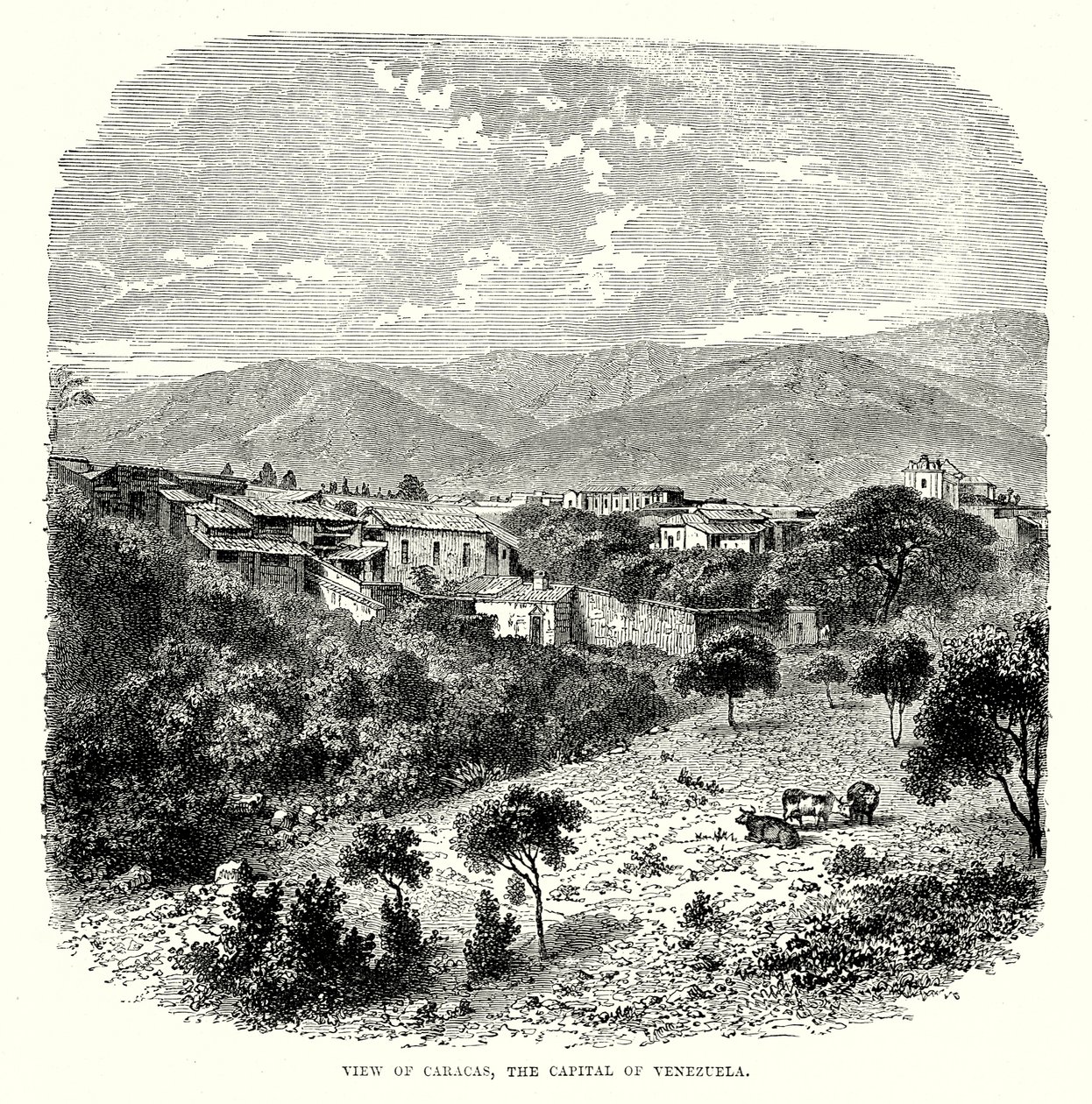 Ansicht von Caracas, der Hauptstadt von Venezuela von English School