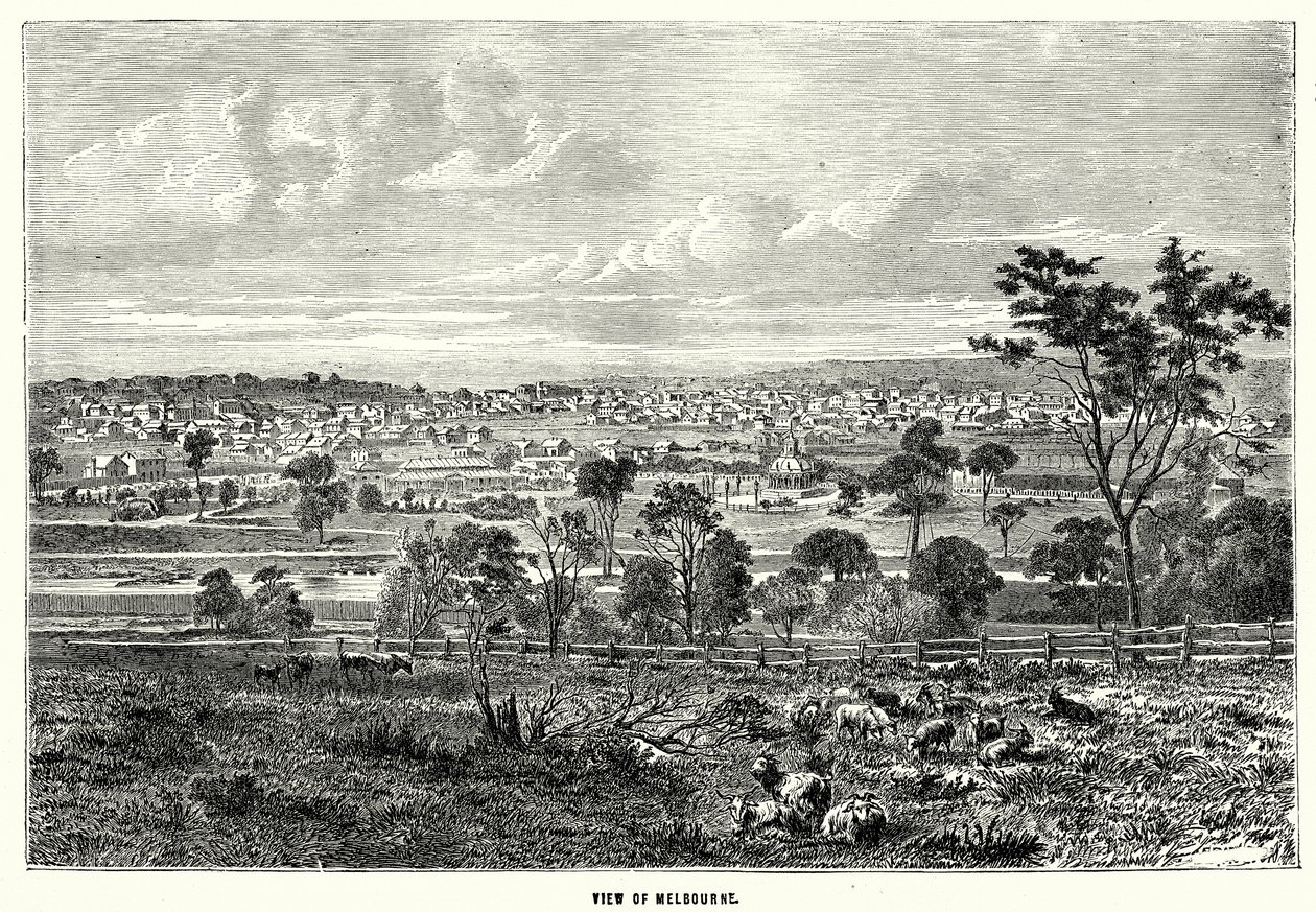 Ansicht von Melbourne (Gravur) von English School