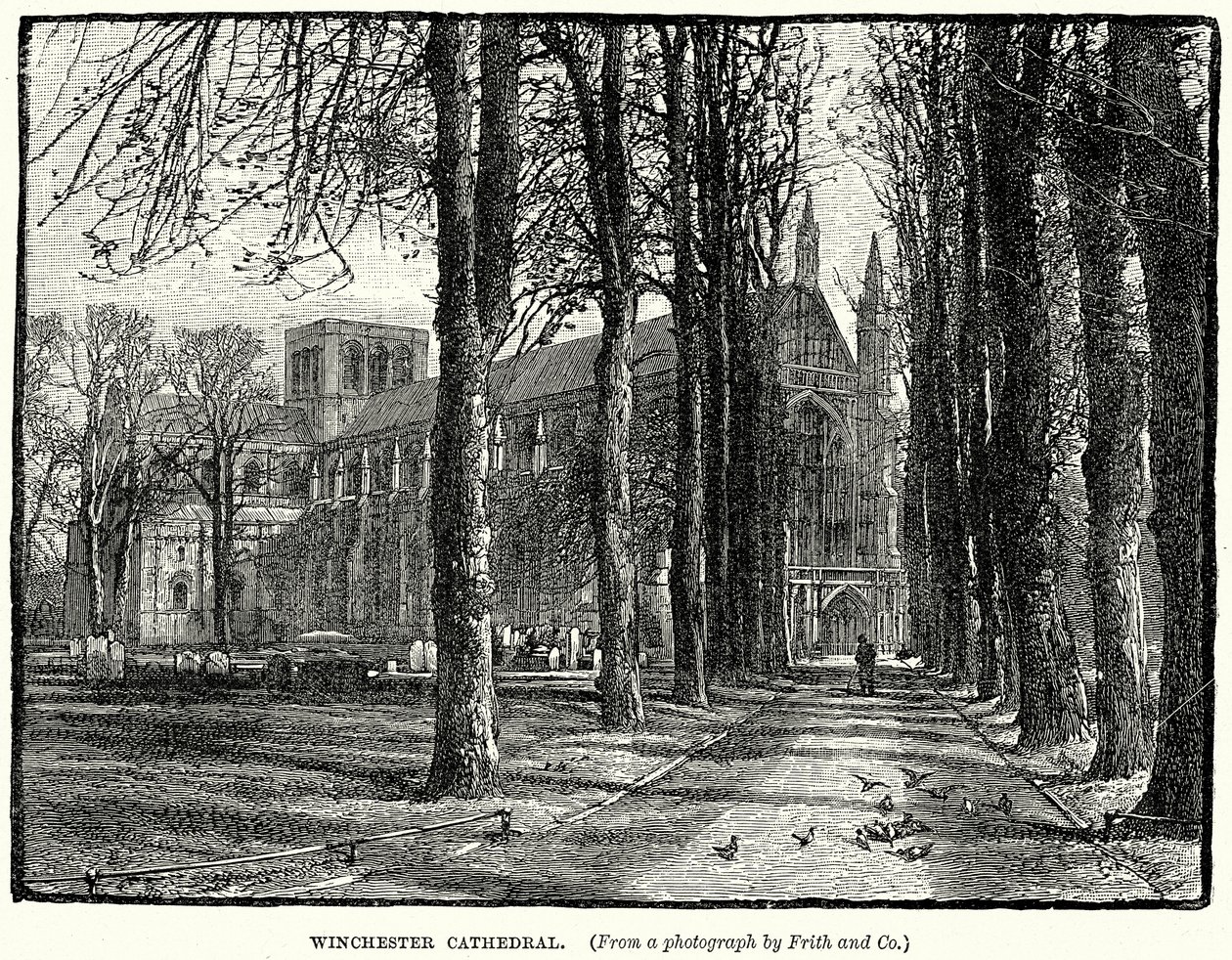 Winchester Kathedrale von English School