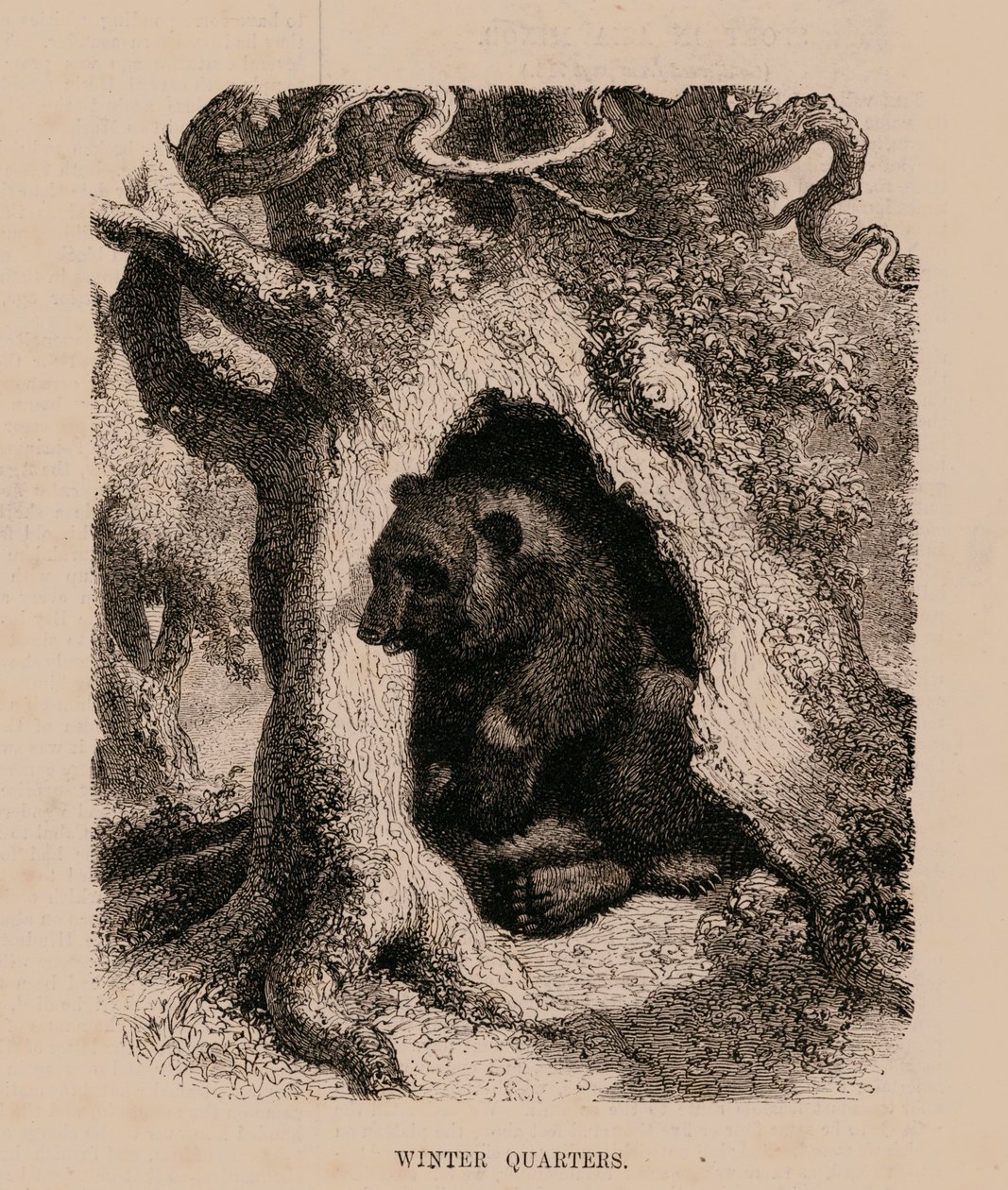 Winterquartiere (Gravur) von English School
