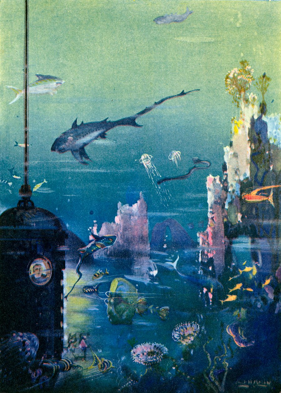 Wunder der Tiefe von English School