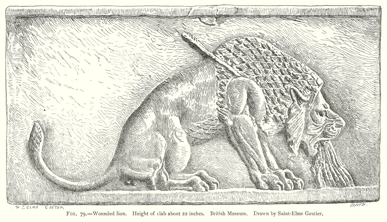 Verwundeter Löwe (Gravur) von English School
