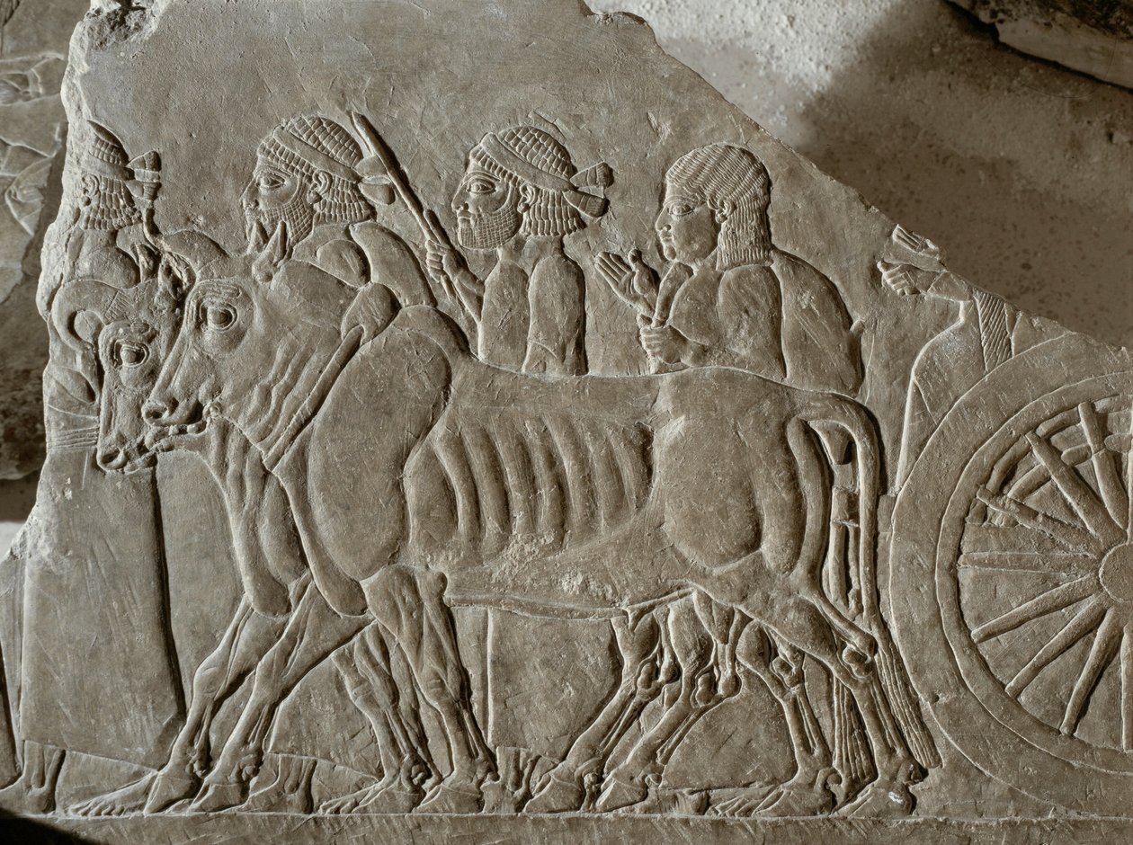 Assyrische Soldaten mit Ochsenkarren führen elamitische Kriegsgefangene nach der Schlacht von Til Tuba ins Exil von Erich Lessing