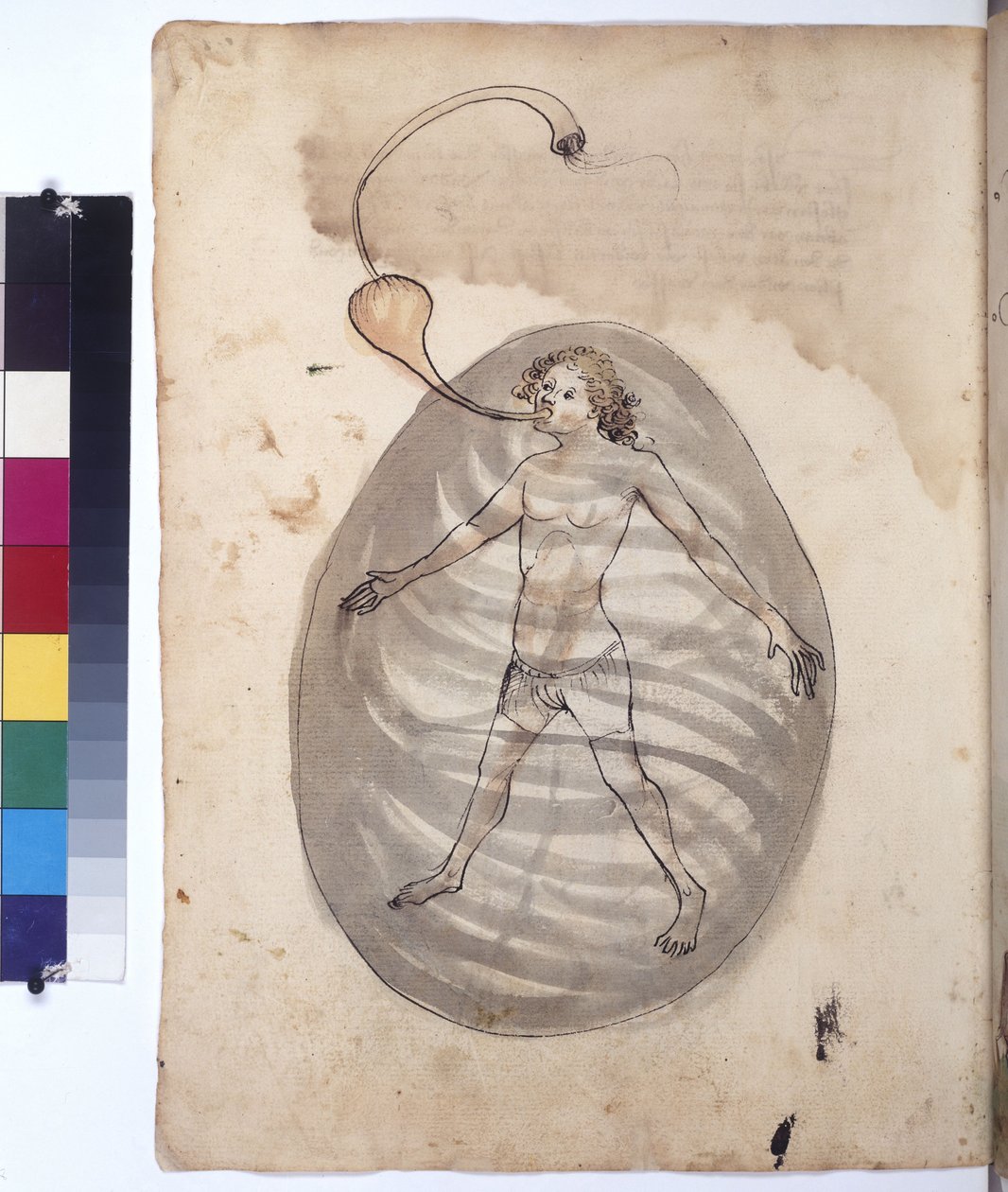 Ganzseitig: Taucher, um 1430 (farbige Federzeichnung) von Erich Lessing