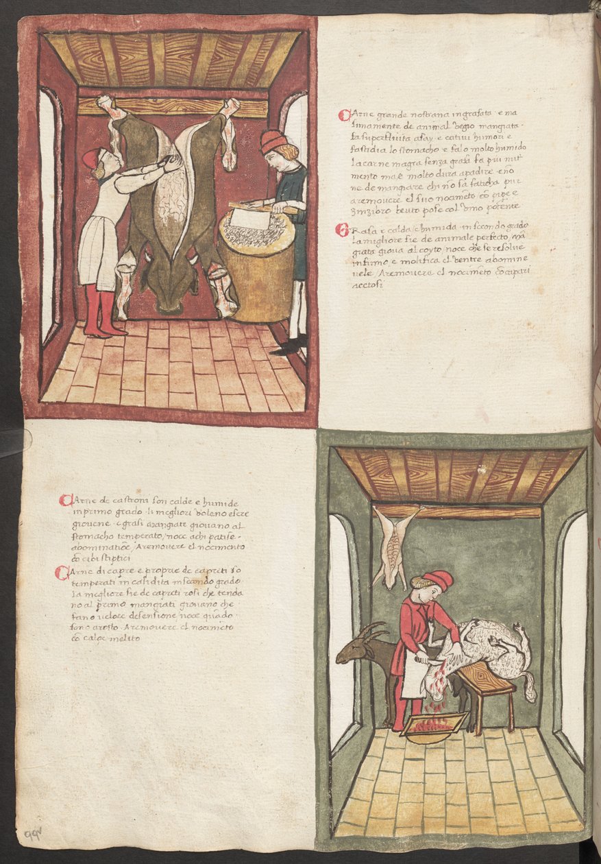 Vollseite: Text und Miniaturen: "Carne grande nostrana ingrasata" von Erich Lessing