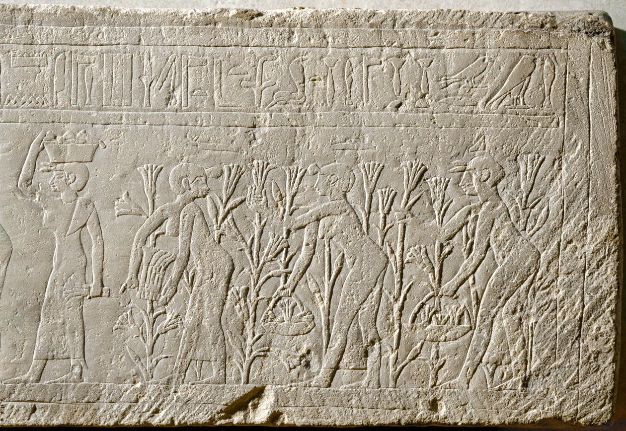 Die Herstellung von Lilienparfüm von Erich Lessing