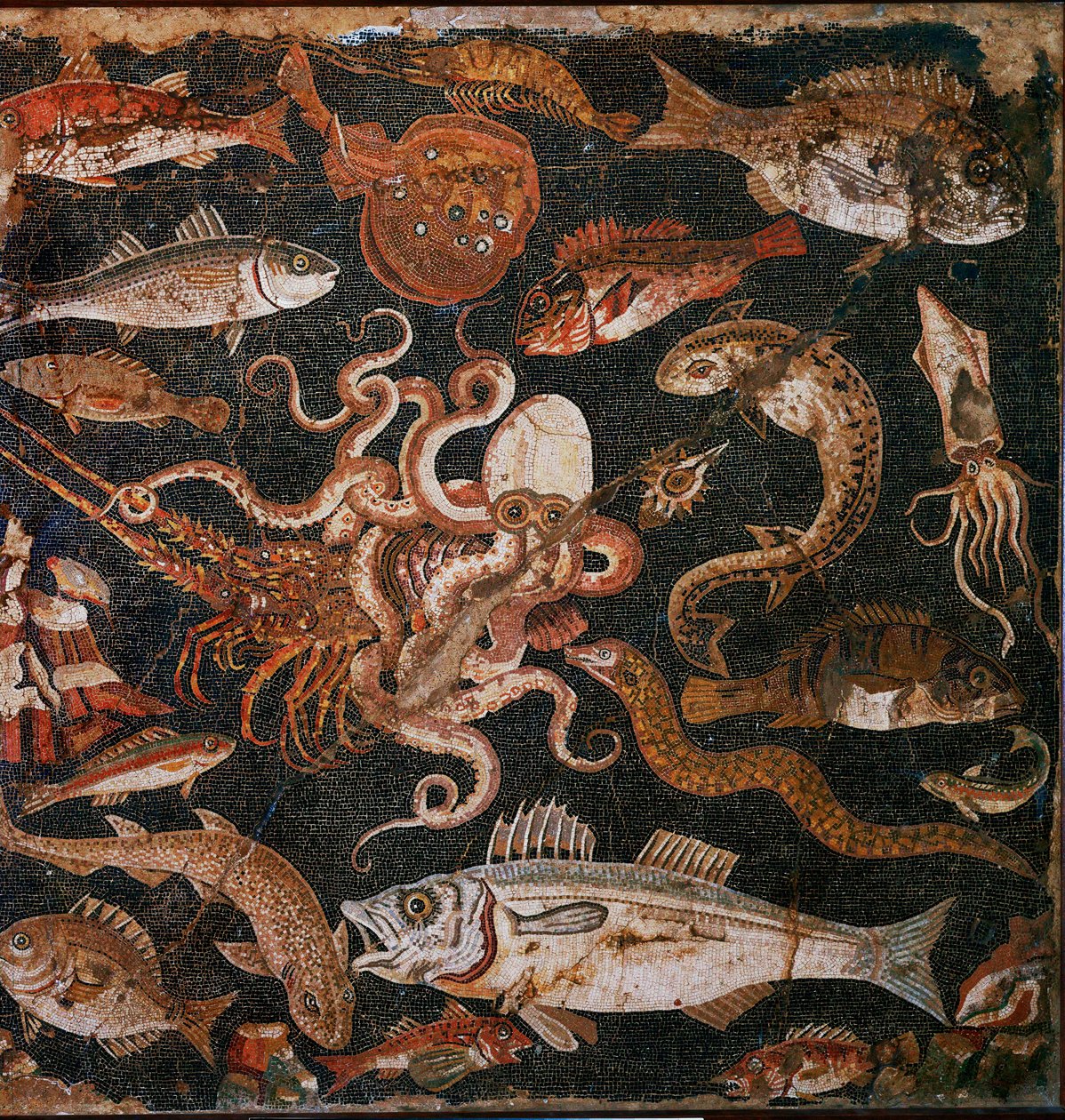 Unterwasserfauna. Mosaik aus Pompeji, Italien von Erich Lessing