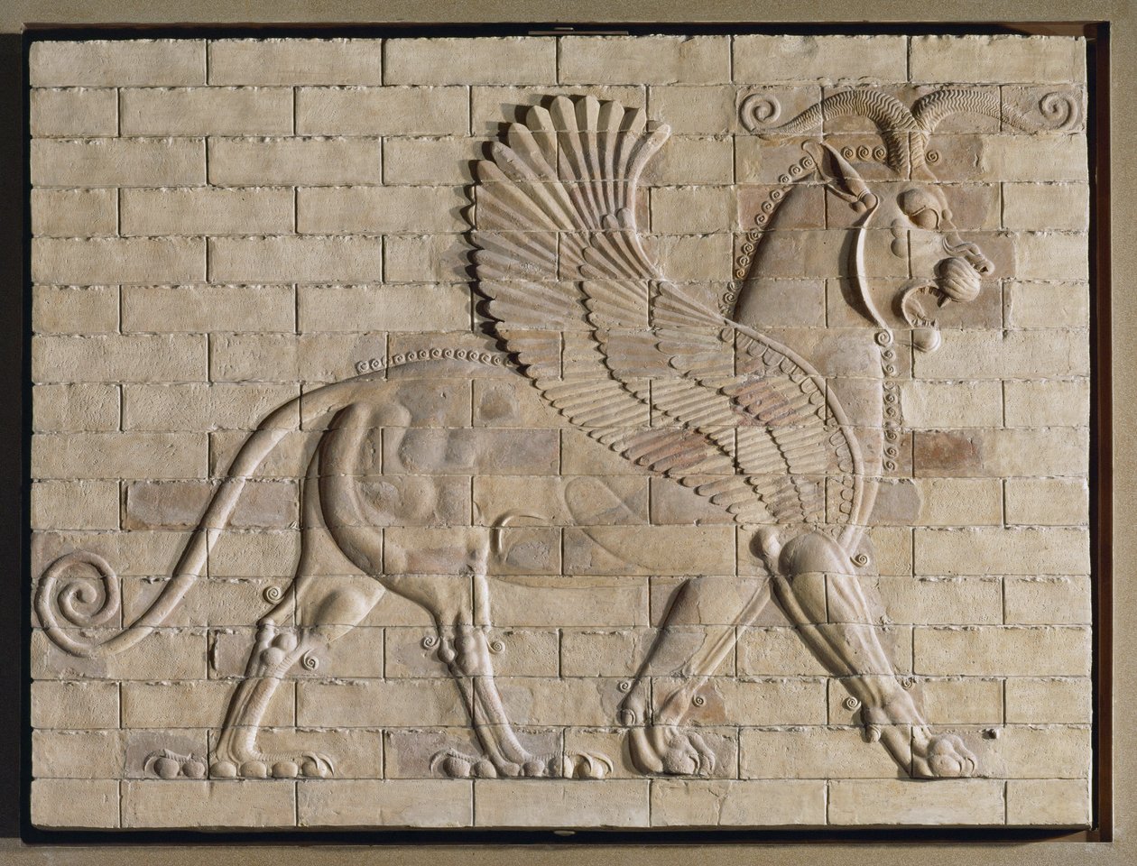 Geflügelter Greif, farbig glasierte Fliesen, aus dem Palast in Susa, Iran von Erich Lessing