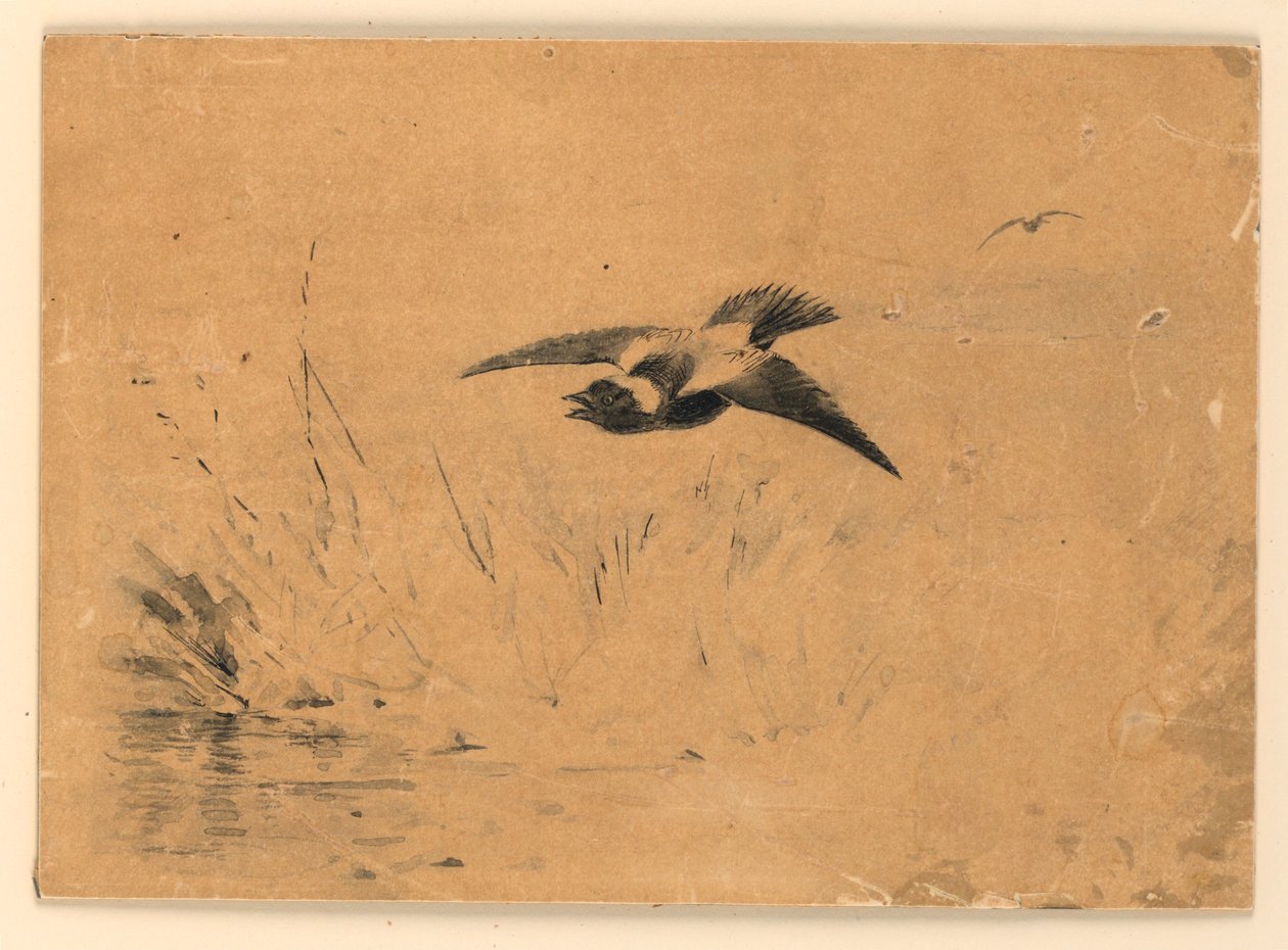 Bobolink von Ernest Thompson Seton