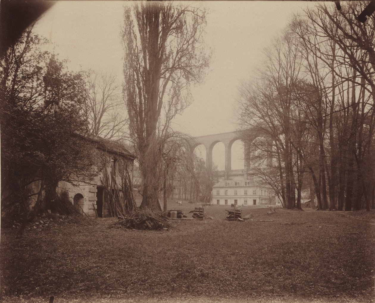 Arcueil-Cachan, Park von Madame de Provigny von Eugène Atget
