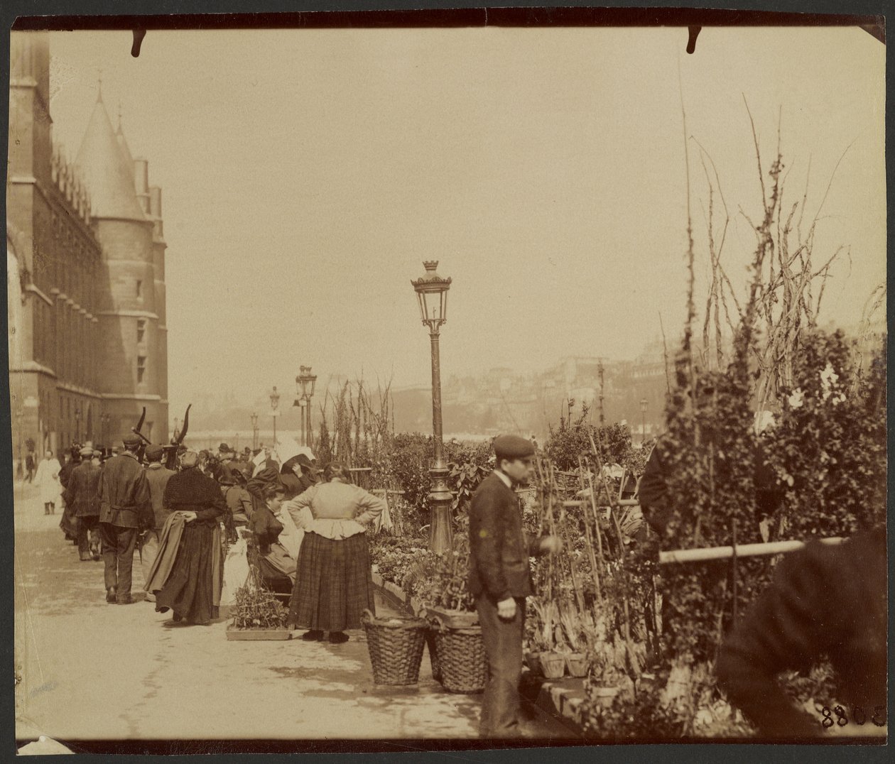 [Der Blumenmarkt] von Eugène Atget