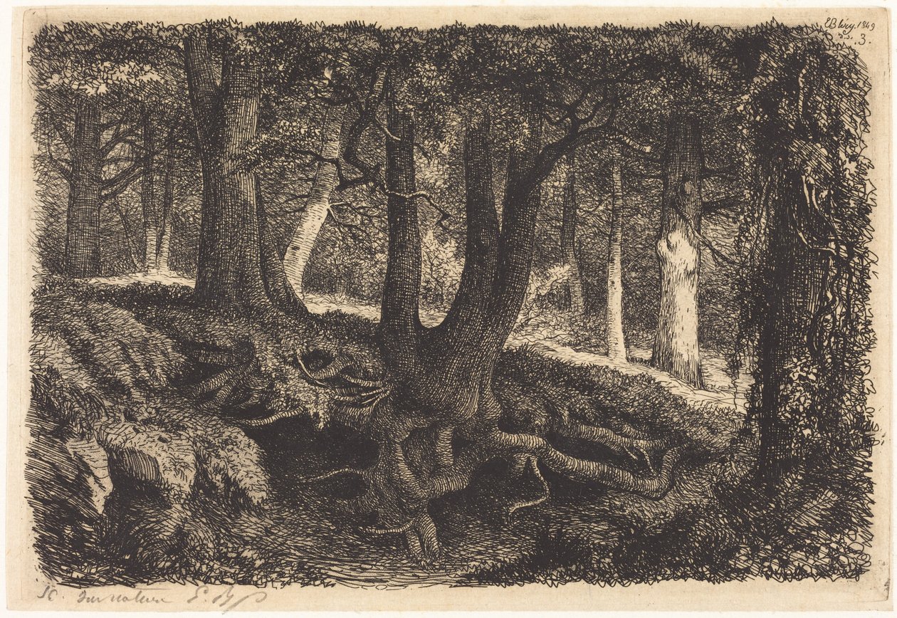 Der Baum mit Wurzeln von Eugene Bléry