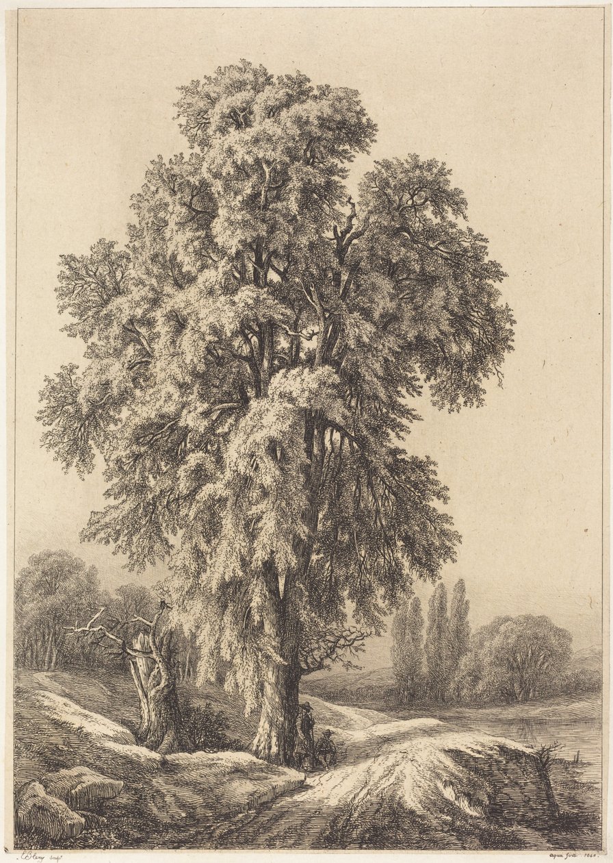 Der Ulmenbaum von Eugene Bléry