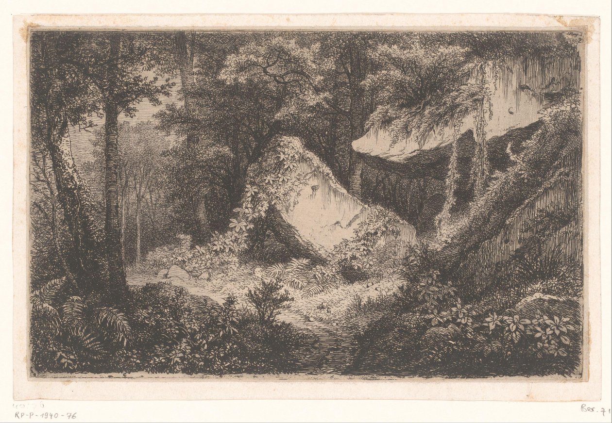 Bewachsene Felsen in einem Wald von Eugene Bléry