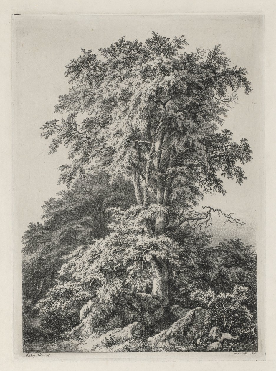 Studien nach der Natur gezeichnet und graviert: Der Strand, Fontainebleau..., 1840 von Eugene Bléry