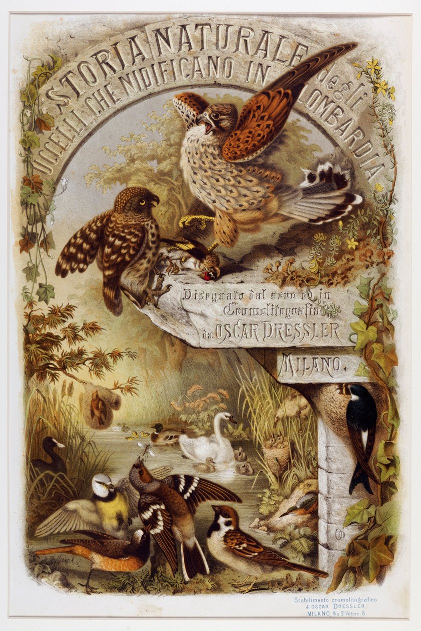 Frontispiz aus Naturgeschichte der Vögel, die in der Lombardei nisten von Eugenio and Dressler Oscar  Bettoni