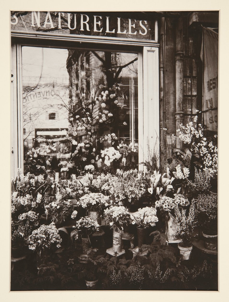 Blumenladen von Eugène Atget