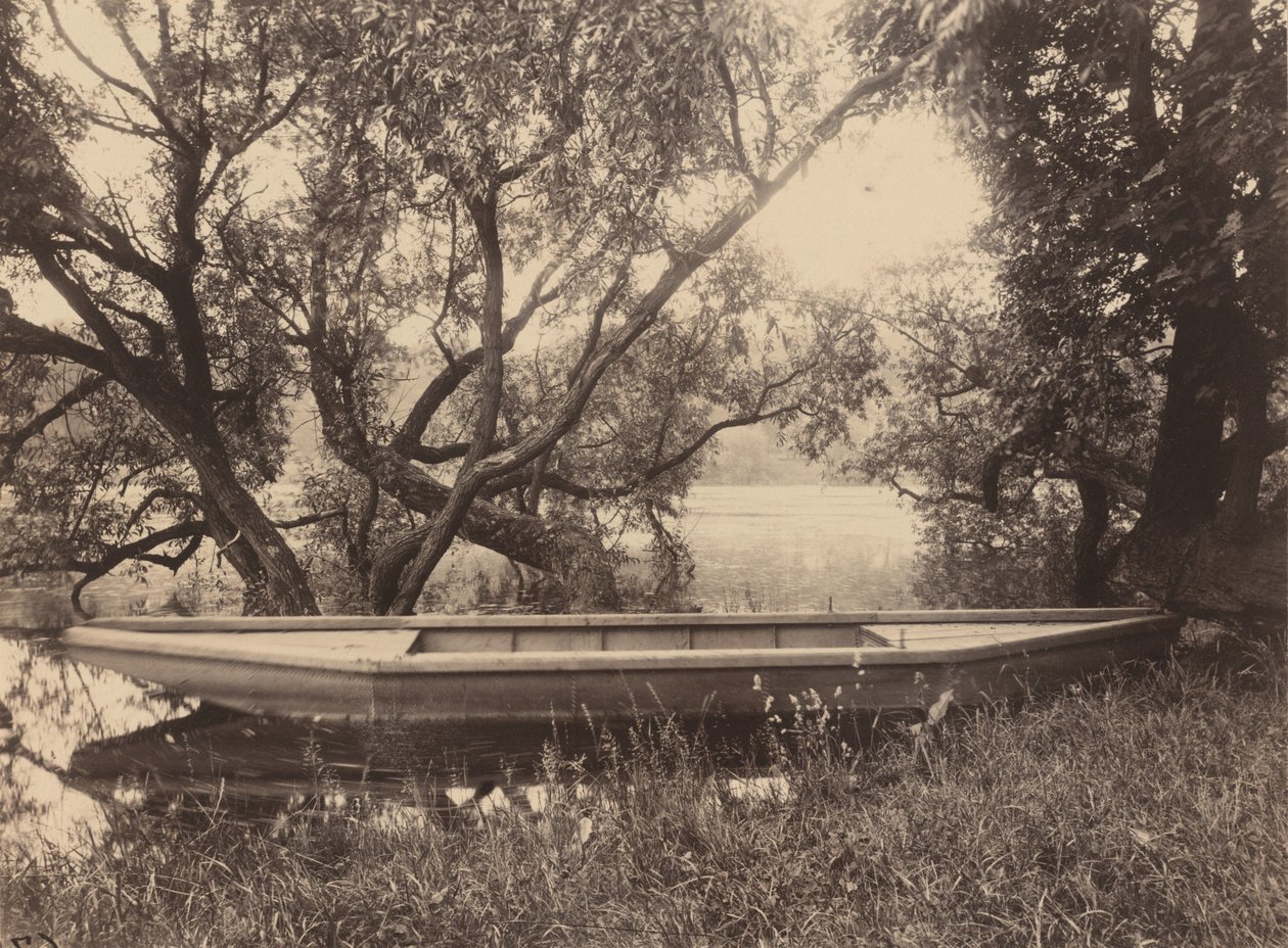 Teich von Corot, Ville-d