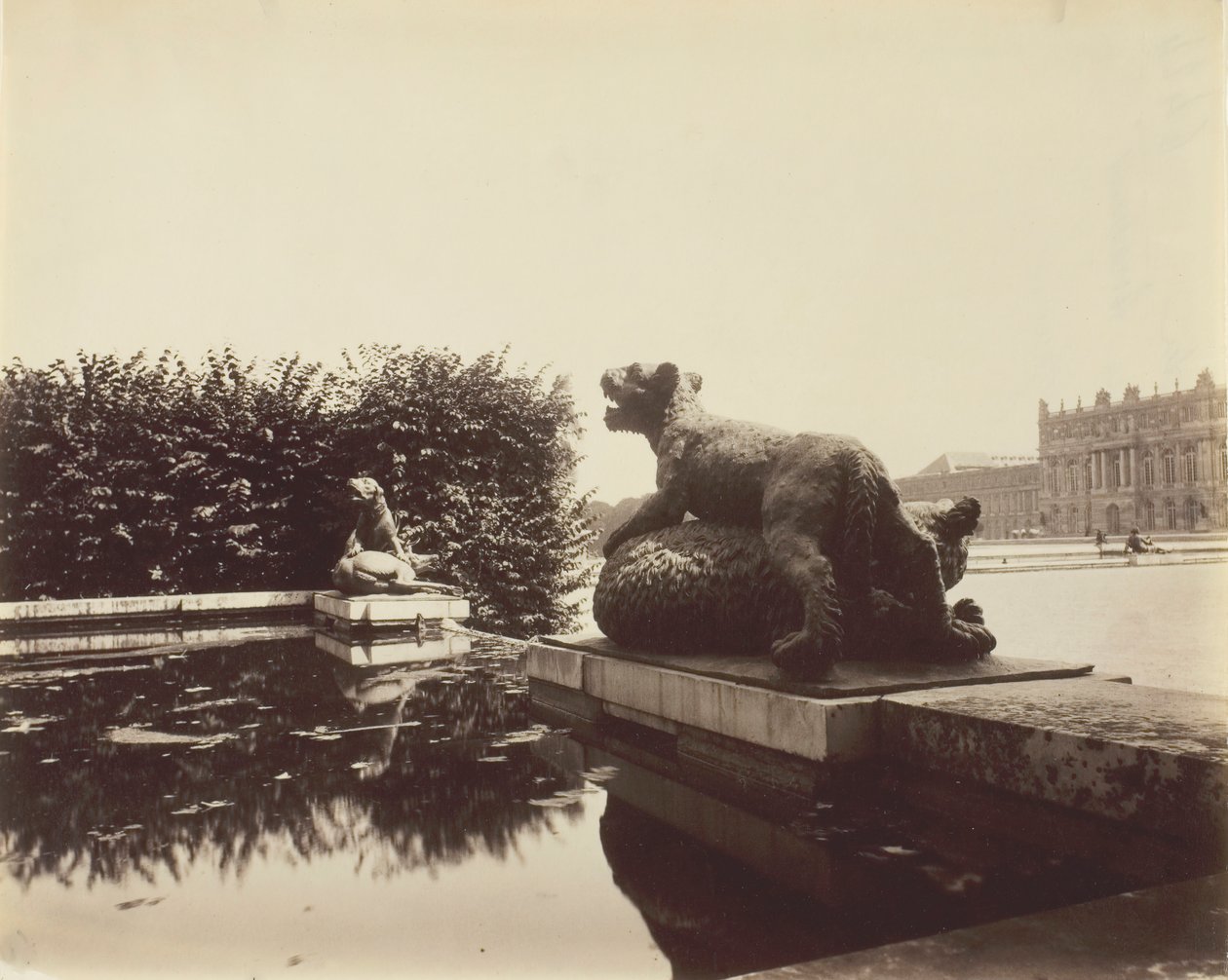 Versailles, Fontaine du Point du Jour, Tiger besiegt einen Bären von Houzeau, 1903 von Eugène Atget