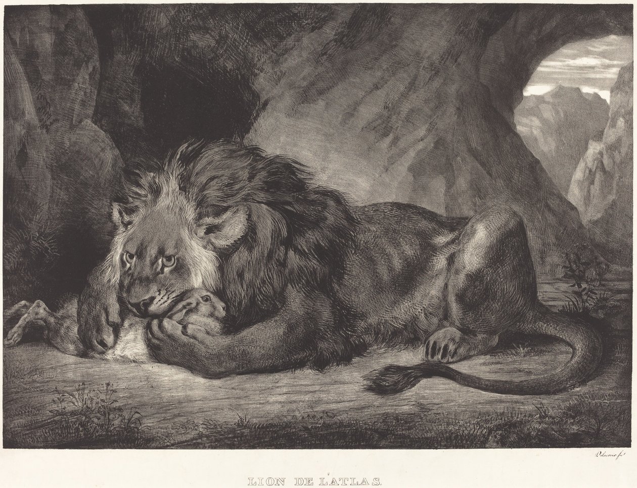 Löwe des Atlasgebirges (Löwe des Atlas) von Eugène Delacroix