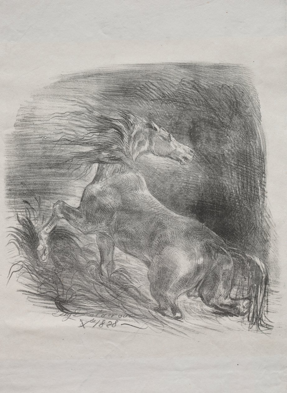 Das wilde Pferd von Eugène Delacroix