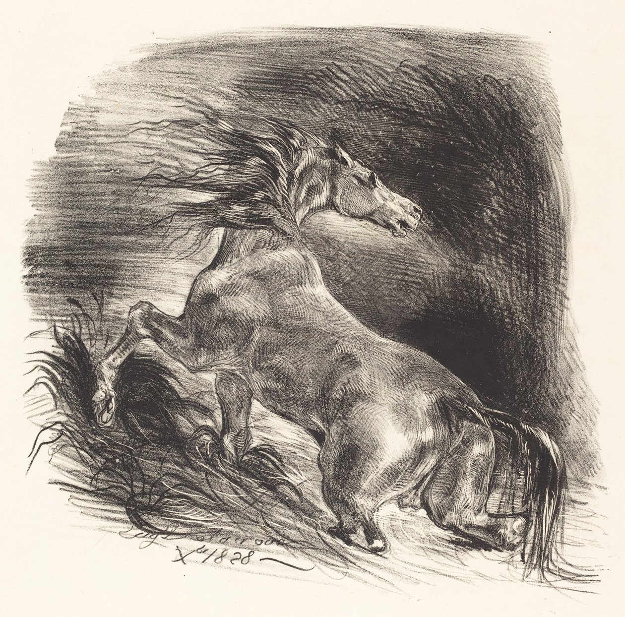 Wildes Pferd kommt aus dem Wasser (Cheval sauvage) von Eugène Delacroix