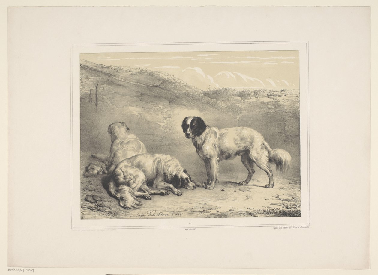 Drei Hunde (Diverse zahme Tiere) (Treize sujets d