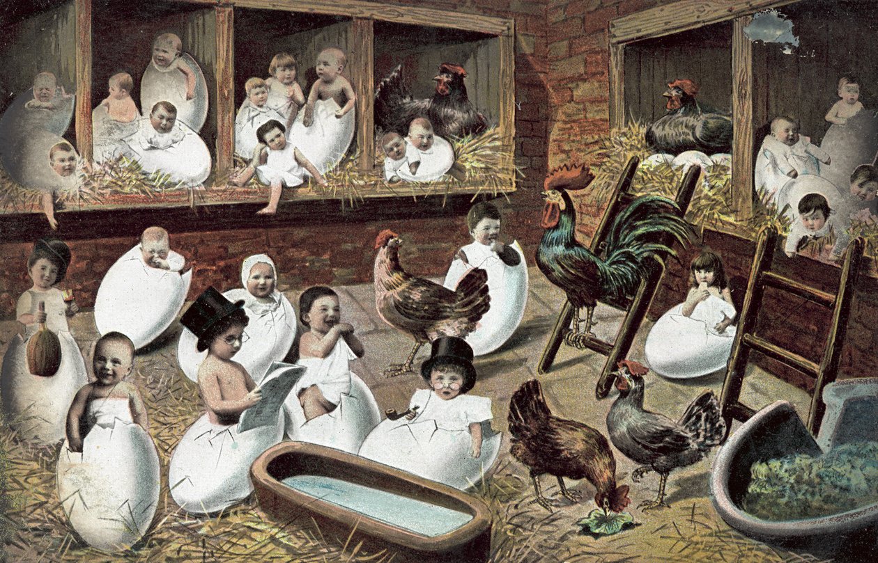 Babys schlüpfen aus Eiern in einem Hühnerstall (Farblitho) von European School